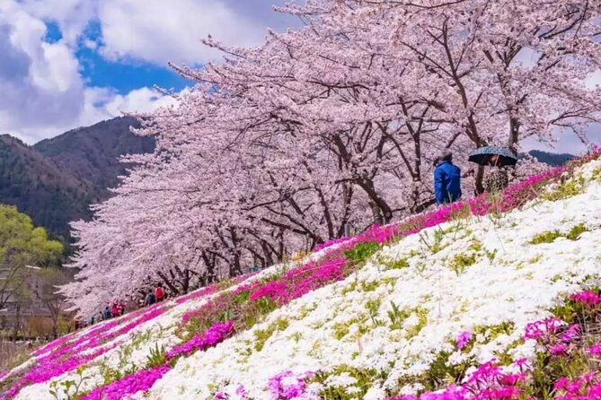 Mt. Fuji Panoramic Ropeway, 5th Station, And Oshino Hakkai Tour - Meeting in Shinjuku and getting on the road