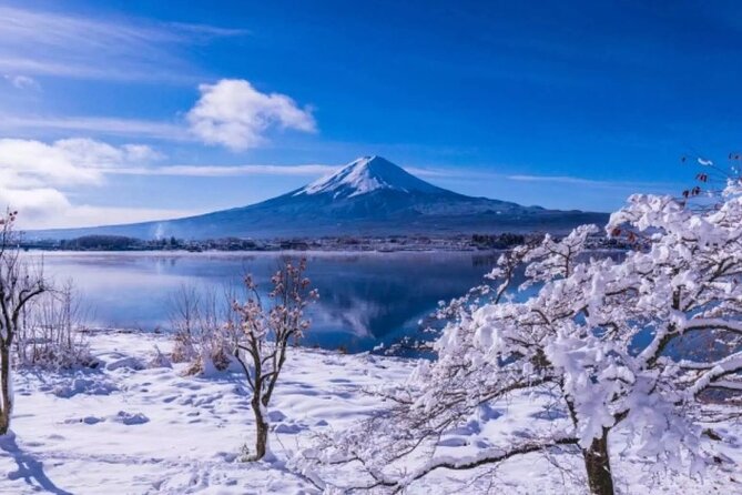 Mt. Fuji Panoramic Ropeway, 5th Station, And Oshino Hakkai Tour - Oishi Park and the changing seasons