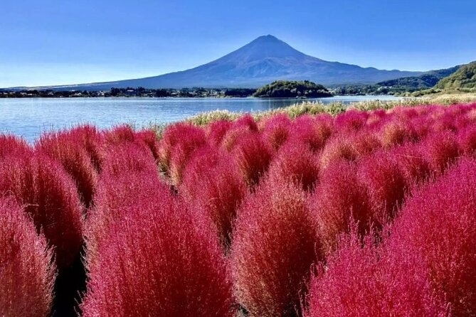 Mt. Fuji Panoramic Ropeway, 5th Station, And Oshino Hakkai Tour - Lunch, transport, and the real value of $119
