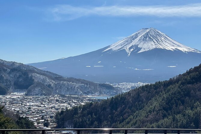 Mt FUJI - Panoramic Tour w/ Hoto Lunch, JP Sake & Onsen tatto OK! - The best reasons to choose this Fuji day trip
