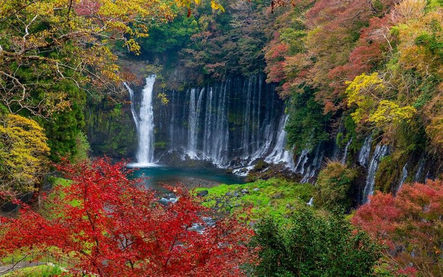 Mt Fuji : Private 10-Hour Luxury Tour by Exclusive Car - Lake Kawaguchiko and the Fuji Five Lakes