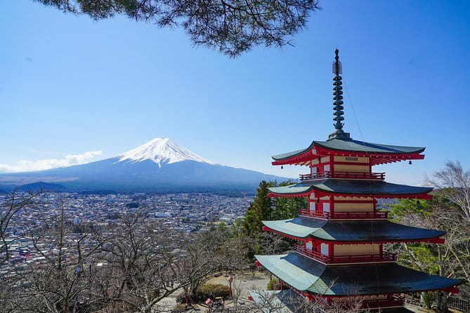 Mt. Fuji Private Chartered Tour with Nature and Wasabi Farm - Why this private Fuji day works
