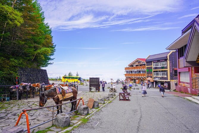 Mt. Fuji Private Chartered Tour with Nature and Wasabi Farm - Chureito Pagoda and the famous Fuji frame
