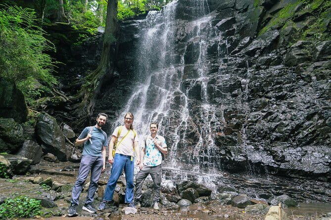 Mt. Fuji Private Chartered Tour with Nature and Wasabi Farm - Shinjuku start and the road to Fuji