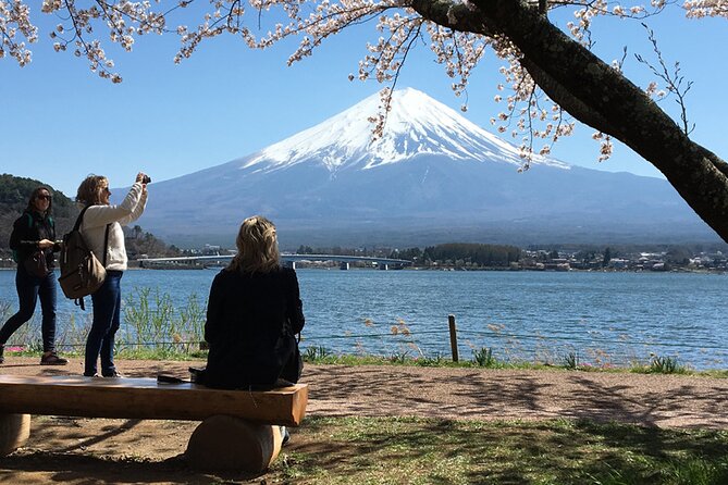 Mt Fuji Private Day Tour from Tokyo with English Speaking Driver - Key points at a glance