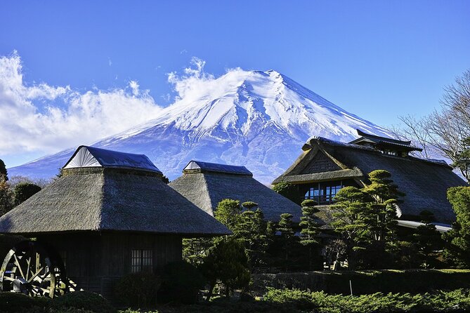 Mt Fuji Private Day Tour from Tokyo with English Speaking Driver - Mount Fuji views depend on the sky