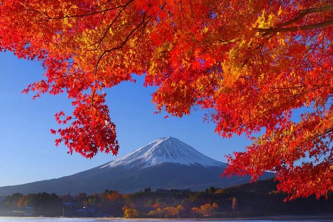 Mt Fuji Private Day Trip from Tokyo with English Speaking Driver - Oshino Hakkai: clear springs and village scenery