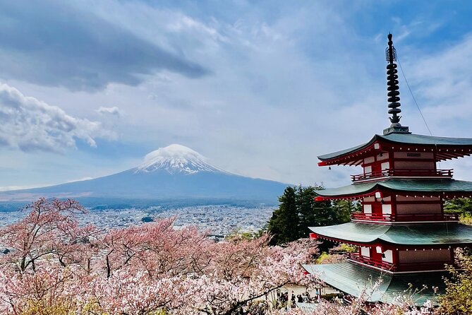 Mt Fuji Private Day Trip from Tokyo with English Speaking Driver - The Panoramic Ropeway: pay extra for the high view