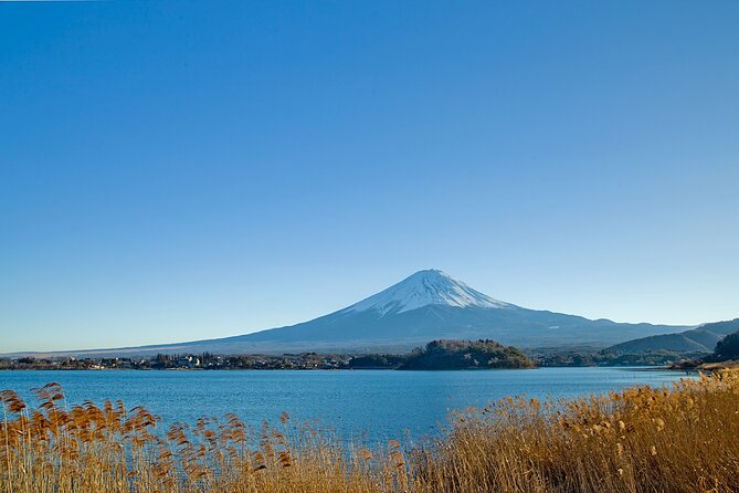 Mt Fuji Private Day Trip from Tokyo with English Speaking Driver - Chureito Pagoda and the classic Fuji photograph