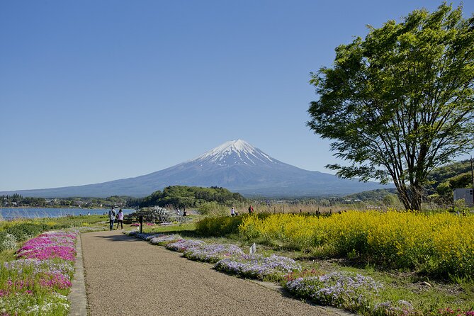 Mt.Fuji Private SightSeeing Day Tour (From Tokyo) - Why a private Mt. Fuji day makes sense