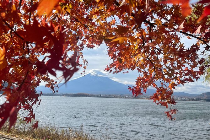 Mt Fuji Private Tour with English Speaking Driver - What this private Mt. Fuji trip is really like