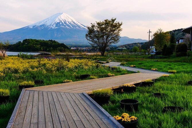Mt Fuji Private Tour with English Speaking Driver - The Mt. Fuji Panoramic Ropeway