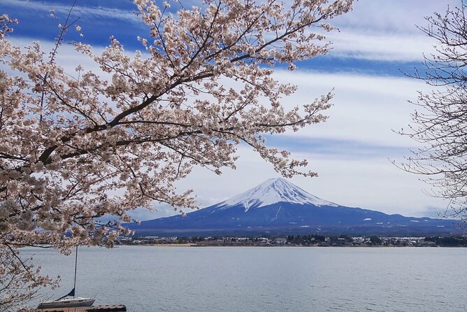 Mt Fuji Private Tour with English Speaking Driver - Oshino Hakkai and its eight ponds