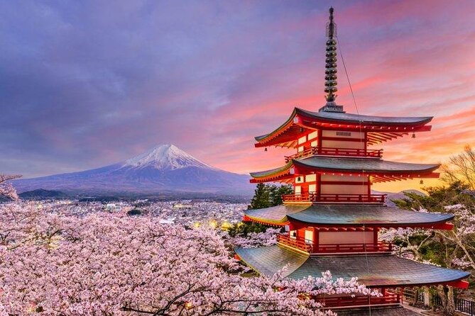 Mt Fuji Private Tour with English speaking driver - Mt Fuji 5th Station: the highest stop on the route