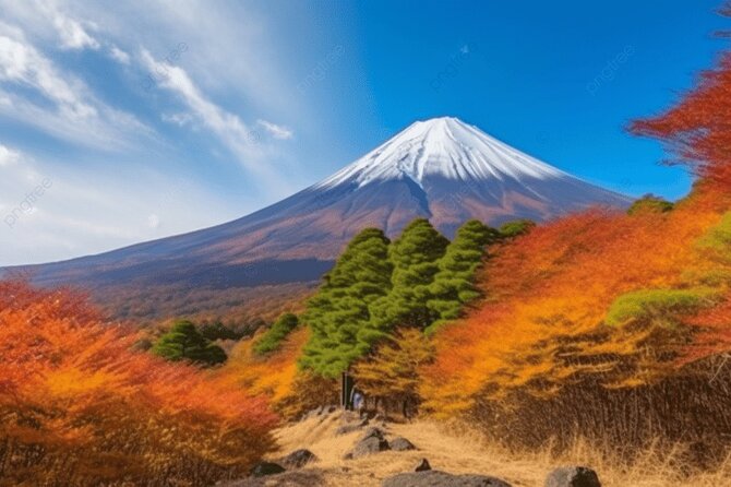 Mt Fuji Private Tour with Native Japanese Driver - Picking the right plan for your day