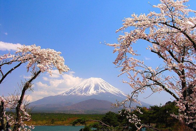 Mt Fuji Private Tour with Native Japanese Driver - Hakone Ropeway and the volcanic Owakudani Valley