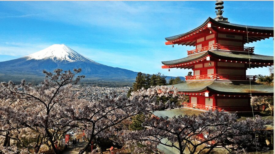 Mt Fuji Sightseeing Private tour with English Speaking Guide - Why a private Mt. Fuji day works from Tokyo