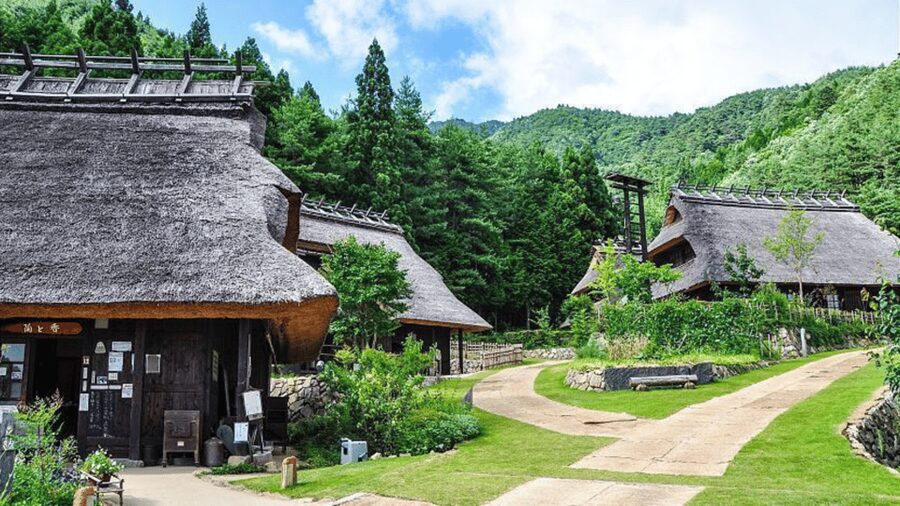 Mt Fuji Sightseeing Private tour with English Speaking Guide - Guides, vehicles, and the human side of the day