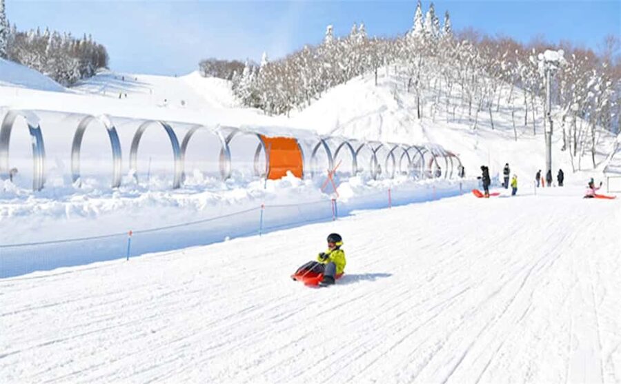 Mt. Fuji Skiing Experience- YETI Ski Resort & Onsen Day Trip - Why the $90 fare can make sense