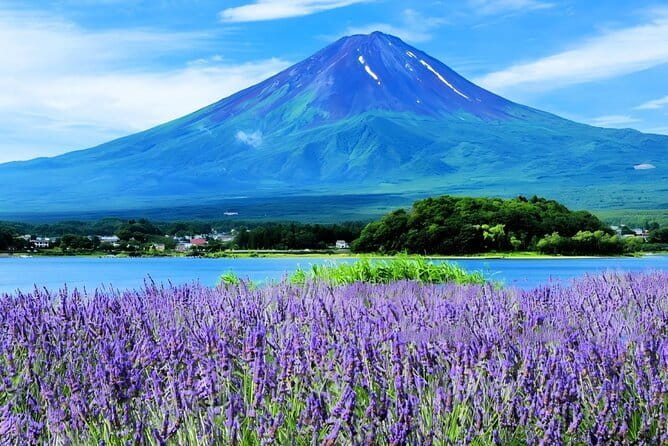 Mt Fuji Small Group 1 Day Tour Kawaguchi and Yamanaka with Pickup - Key points to know before you book