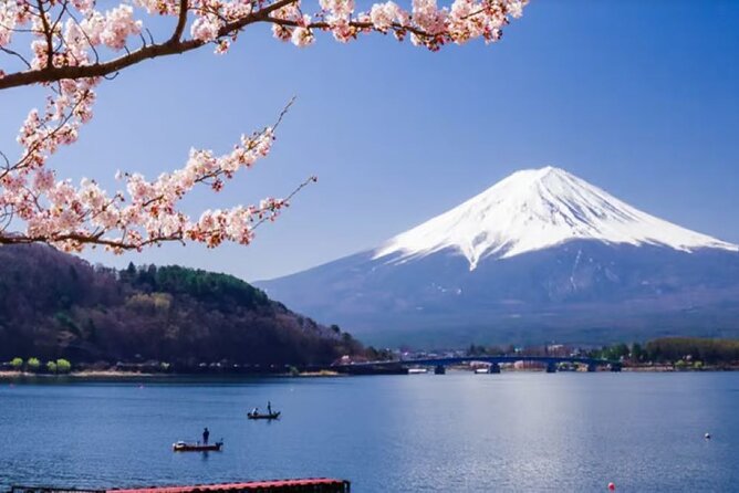 Mt. Fuji to Lake Kawaguchi, Lake Yamanaka and Onsen Day Tour - Seasonal color at the Shibazakura Festival and Maple Corridor