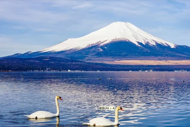Mt. Fuji to Lake Kawaguchi, Lake Yamanaka and Onsen Day Tour - The onsen stop and tattoo rules