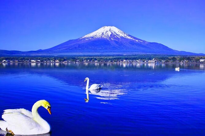 Mt. Fuji to Lake Kawaguchi, Lake Yamanaka and Onsen Day Tour - What the 10 to 11 hour schedule feels like