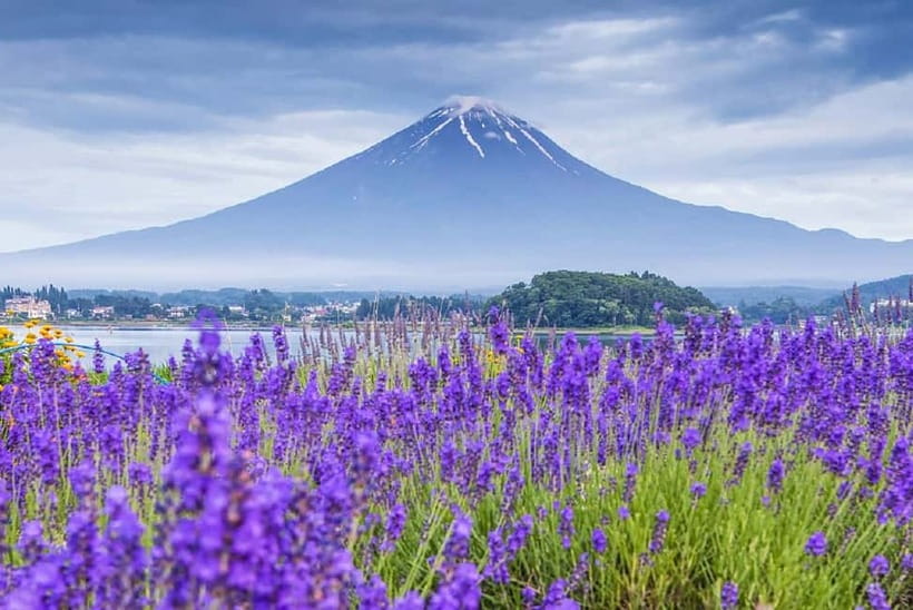 Mt Fuji Top 5 Spots Day Tour: Arakurayama Park,Oshino Hakkai - Key points to know before booking