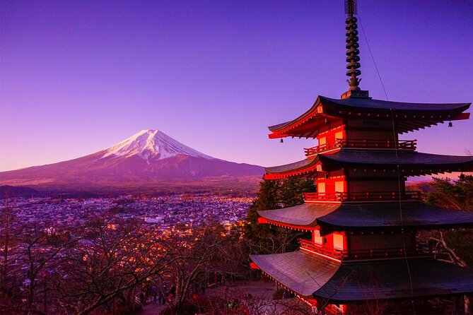 Mt Fuji Tour with Japanese Local Guide on Private Car from Tokyo - Oshino Hakkai and its eight ponds