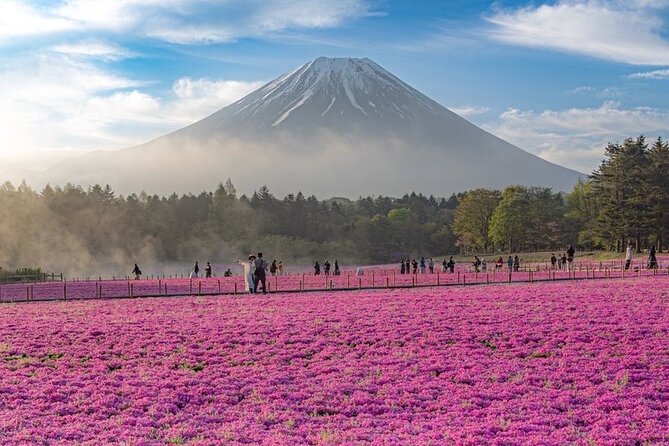 Mt Fuji Tour with Japanese Local Guide on Private Car from Tokyo - Mt. Fuji 5th Station at 2,300 meters