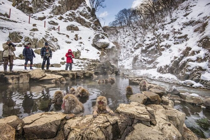 Mt. Fuji Tours to Lake Kawaguchi and Yamanaka Onsen English Guide - Price, group size, and the real value