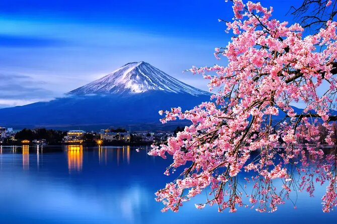 Mt. Fuji Tours with Kawaguchi Lake Ropeway View English Speaking - The Lake Kawaguchi ropeway gives you the day’s big view