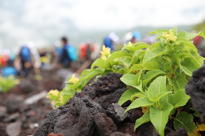 Mt.Fuji Trekking 1 Day Tour up to the summit - The Yoshida Trail toward 2,700 meters