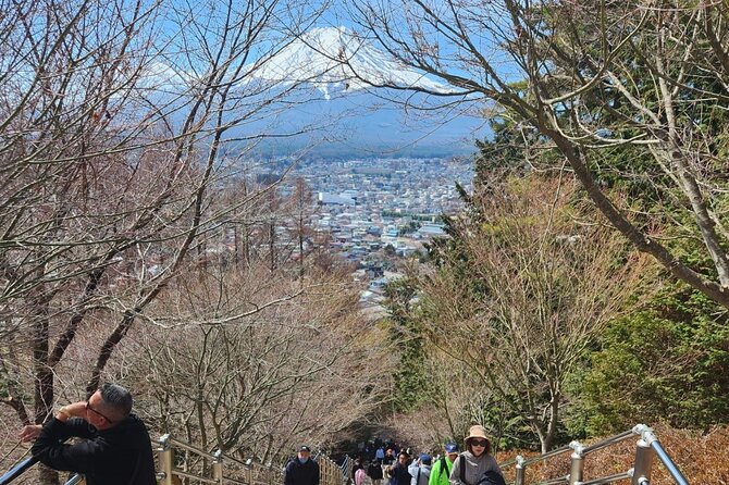 Mt.Fuji view Hakone Private tour with English speaking driver - Hakone Shrine and the water-side torii