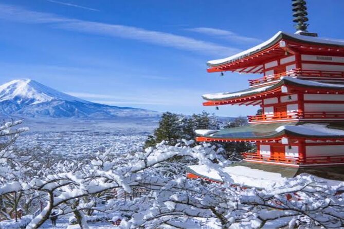 MT FUJI with Private Tour - Key points at a glance