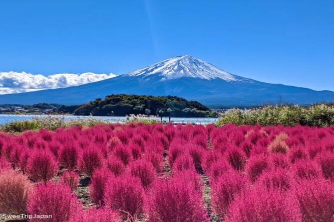MT FUJI with Private Tour - Why this Mt. Fuji day trip works from Tokyo