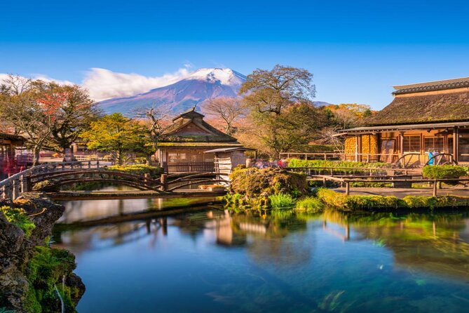 MT FUJI with Private Tour - Hananomiyako Park and seasonal flowers