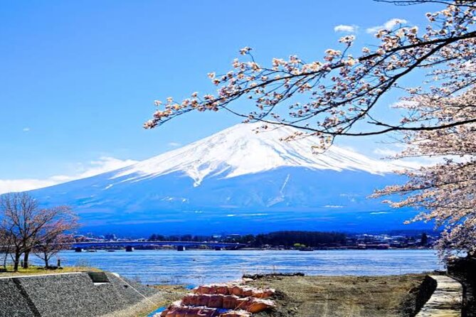 MT FUJI with Private Tour - Narusawa Ice Cave below an old lava flow
