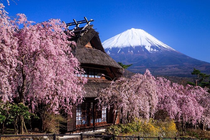 Muslim Friendly Mt. Fuji Tour with Halal Lunch and Prayer Time - Itchiku Kubota Art Museum from January to April