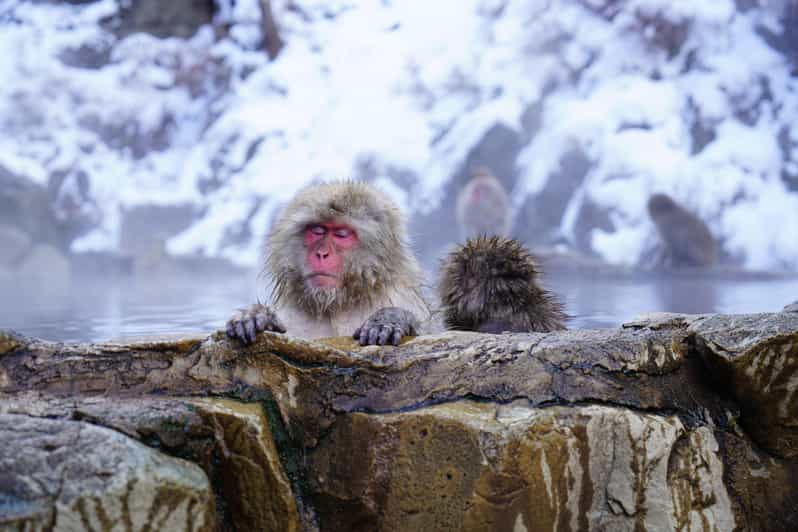 Nagano: Snow Monkeys, Zenkoji Temple & Sake Day Trip - Obuse Adds Chestnuts, Art, and Edo-Era Character
