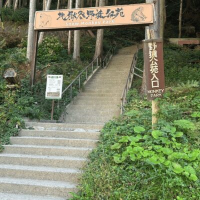 Nagano/Tokyo: Snow Monkey Private Day Tour At Lowest Rate