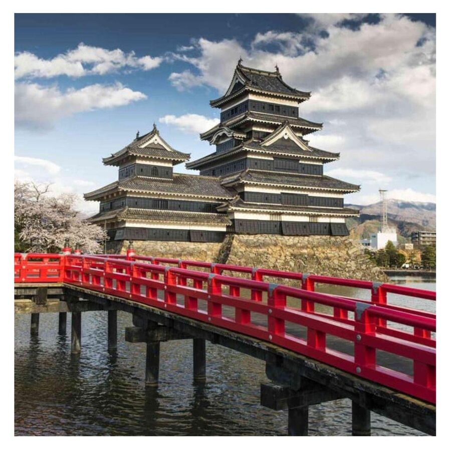 Nagano/Tokyo: Snow Monkey Private Day Tour At Lowest Rate - Matsumoto Castle is impressive, but it changes the day