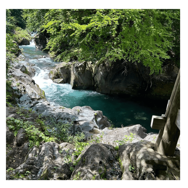 Nagano/Tokyo: Snow Monkey Private Day Tour At Lowest Rate - Togakushi brings cedar forests and Shinto legend