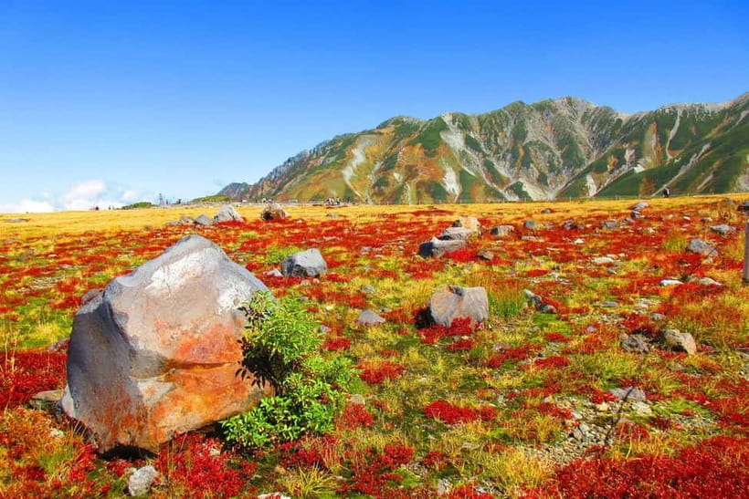 Nagano: World’s Edge Tateyama Kurobe Alpine Route Tour - Starting from Nagano, Hakuba, or Matsumoto