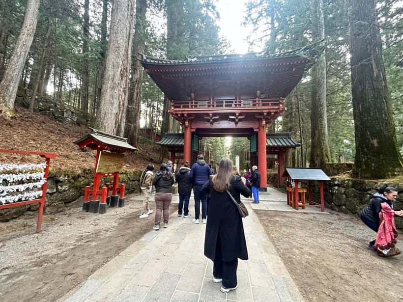 Nikko: Kegon Falls, Lake Chuzenji & Toshogu Temple - Who should book this Nikko tour?