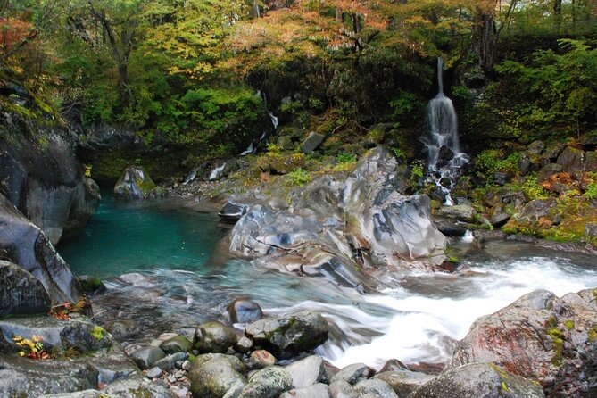Nikko Private SightSeeing Day Tour With Guide (From Tokyo) - Tamozawa Imperial Villa shows a different side of Japan