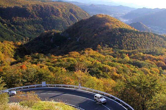 Nikko private tour with English speaking guide - The guide question deserves attention