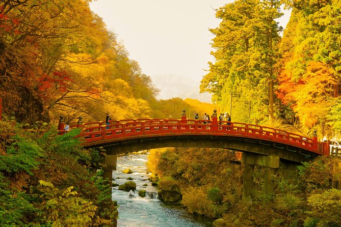 Nikko Tour by Private Car and English Speaking Driver - Kegon Falls: Nikko’s dramatic waterfall