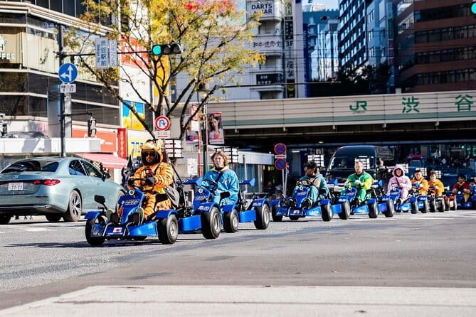 Official Japan Go-Kart Through Shibuya / Shinjuku (IDP Required) - Harajuku fashion and Yoyogi Park