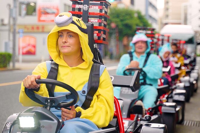 Official Japan Go-Kart Through Tokyo Bay / Ginza (IDP Required) - Starting near Azumabashi and Toyosu